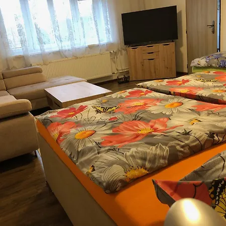 Bibina * Levoča